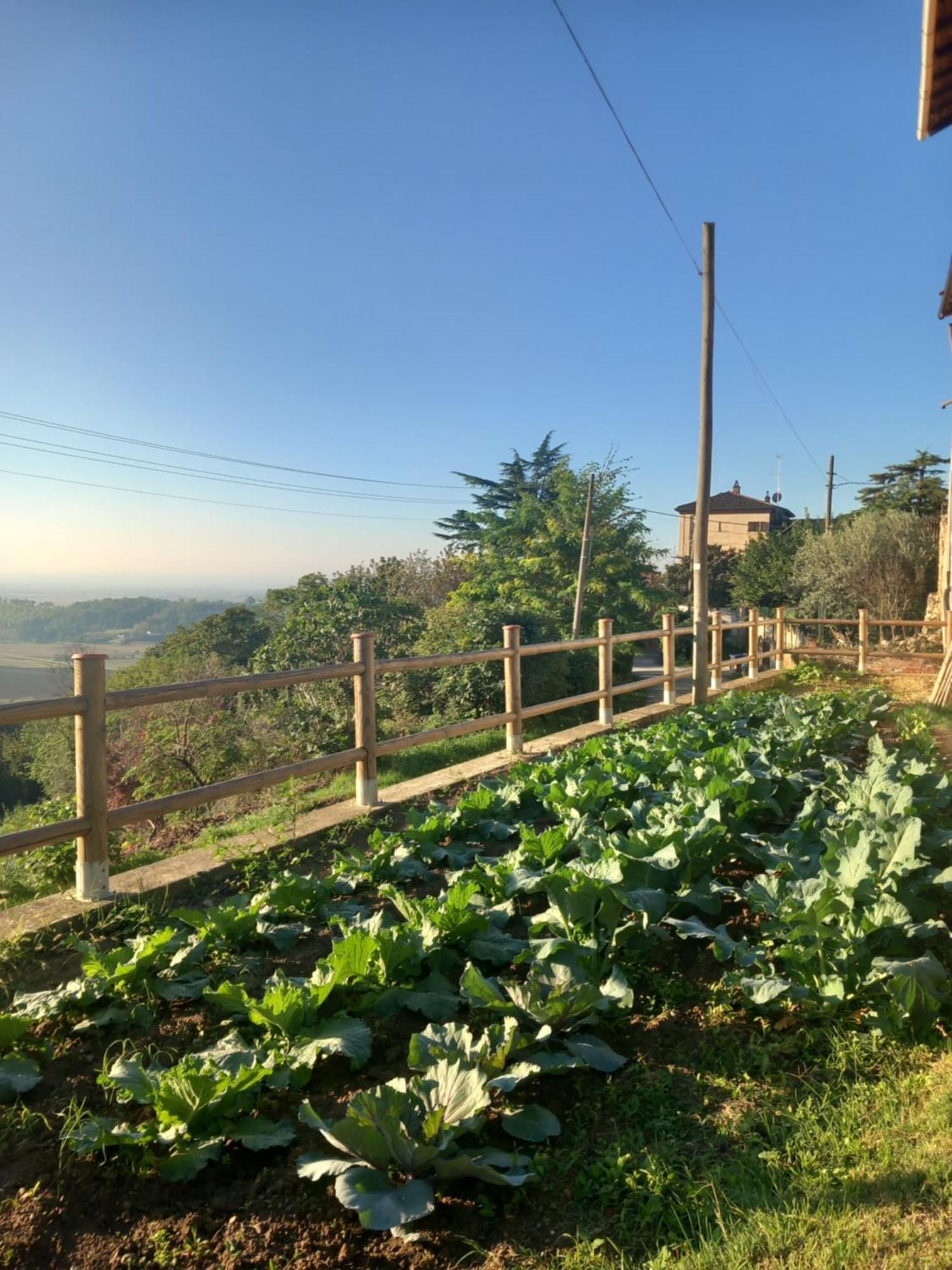 Bed and Breakfast Il Cortile Di Greta Lu (Piedmont) Exterior foto